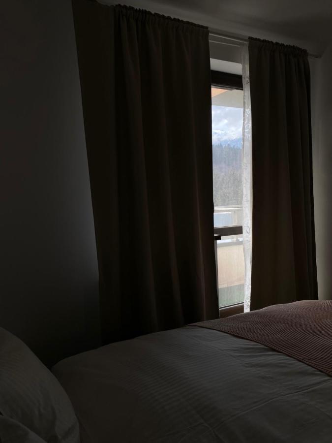 Ioana'S Apartament Daire Sinaia Dış mekan fotoğraf