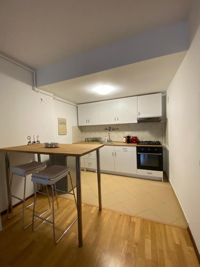 Ioana'S Apartament Daire Sinaia Dış mekan fotoğraf