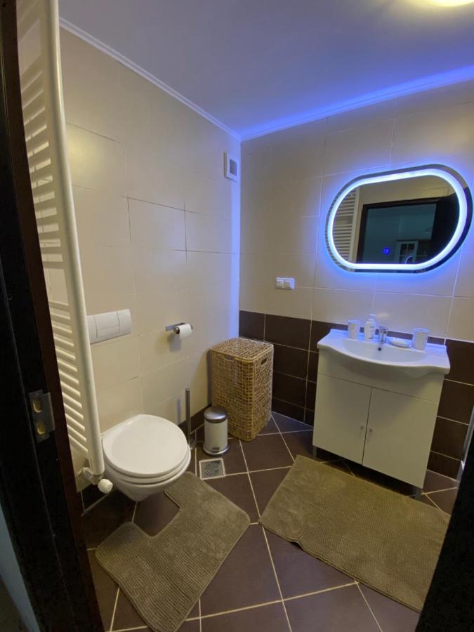 Ioana'S Apartament Daire Sinaia Dış mekan fotoğraf