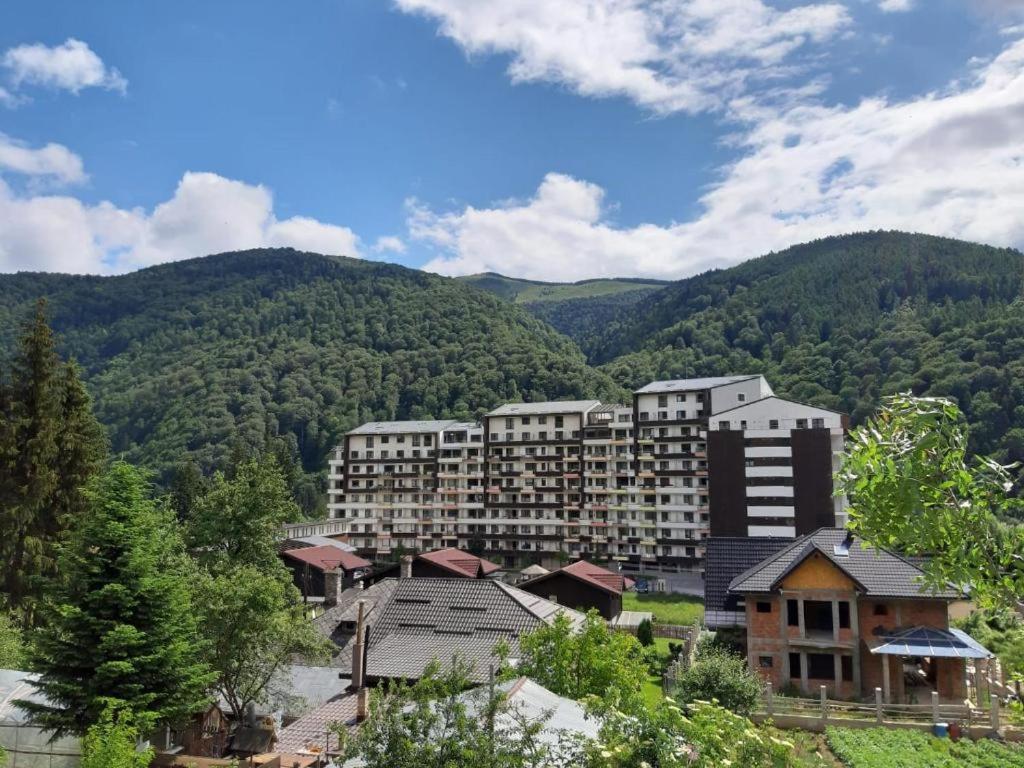 Ioana'S Apartament Daire Sinaia Dış mekan fotoğraf